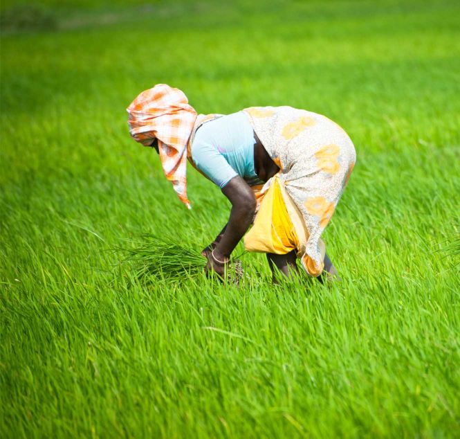 Image of Asminds and KLM leadership