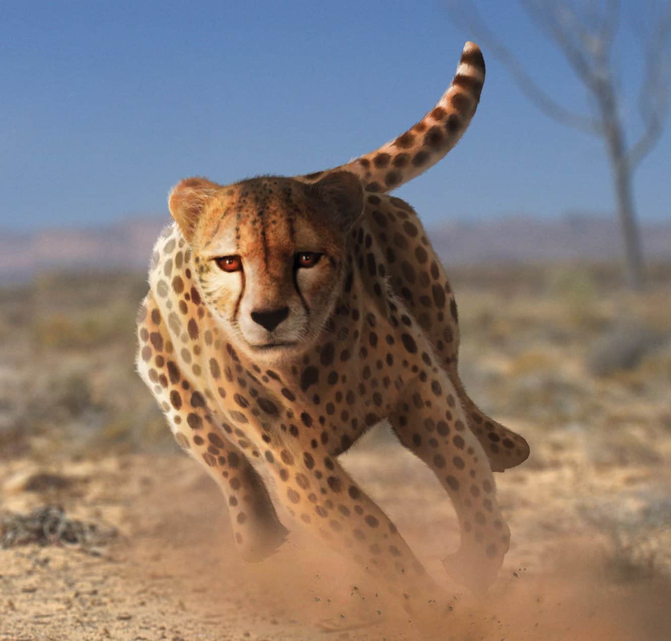 Accelerating Power of Deep Learning